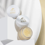 Pure Fiji Lip Balm - Pinacolada